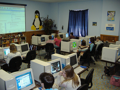 Little Penguin is watching you